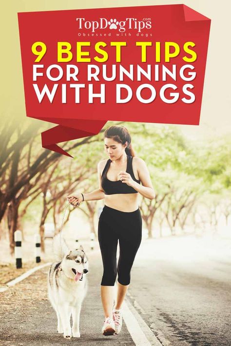 Jogging With Dog, Dog Goals, Dog Training Aggression, Dogs Running, Tips For Running, Dog Wellness, Running Team, Dog Top, Dog Exercise