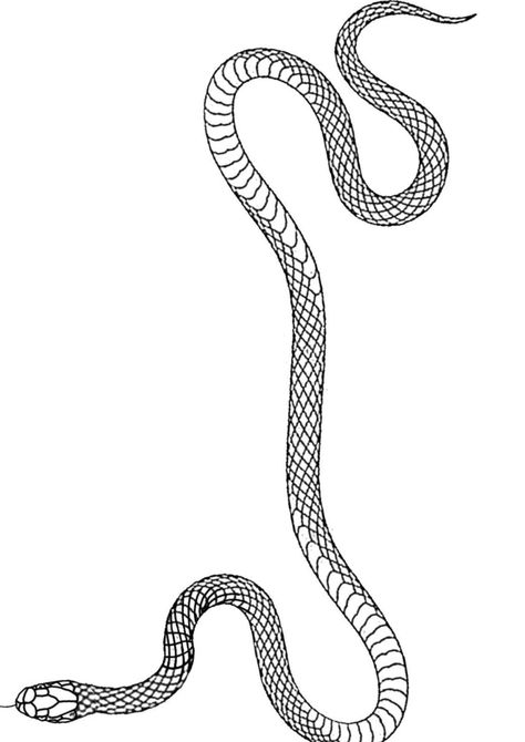 Snake Around Arm Tattoo, Snake Sketch, Arm Wrap Tattoo, Zen Tattoo, Betty Boop Tattoos, Around Arm Tattoo, Traditional Tattoo Flowers, Wrap Tattoo, Web Tattoo