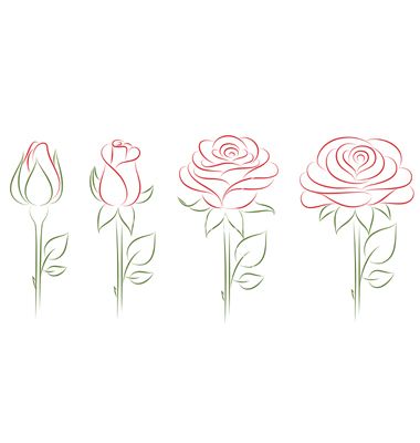 Blooming roses vector Hur Man Ritar Blommor, How To Draw Flowers, Roses Vector, Draw Flowers, Drawing Lesson, Rose Drawing, Roses Drawing, Vector Flowers, Plant Drawing