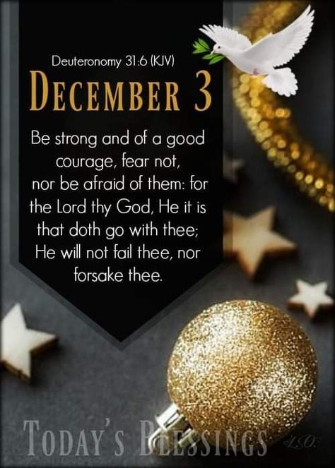 December 13 Blessings, Christmas Scriptures, Hello December Images, December Blessings, December Wishes, December Scriptures, Advent Prayers, Days Of The Month, December Days