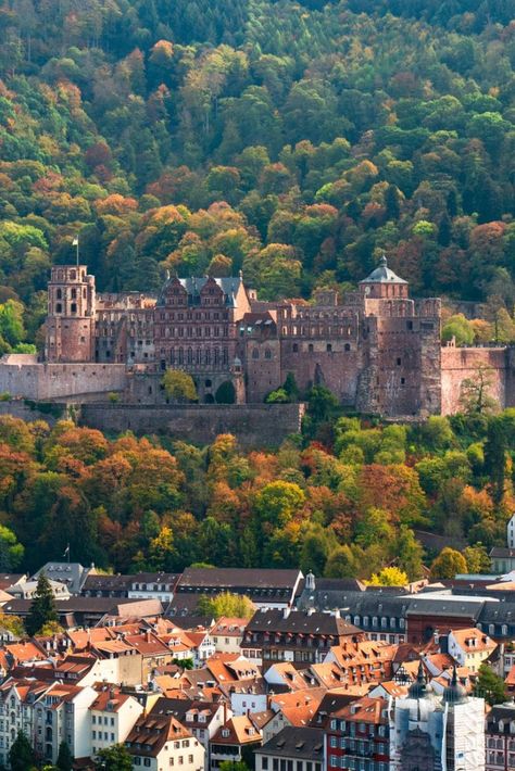 Heidelberg Castle Heidleburg Castle, Ef Tours, Europe Castles, Heidelberg Castle, Heidelberg University, German Travel, Heidelberg Germany, German Architecture, Cities In Germany