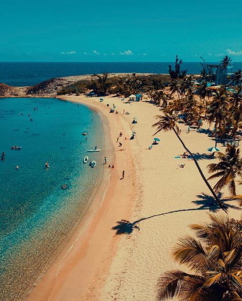 PUERTO RICO 🇵🇷 on Instagram: “Playa Jobos, #Isabela 🇵🇷 📸: @carlit0x . #PuertoRicoGram #PuertoRico #PlayaJobos #PRGIsabela” Beach Puerto Rico, Isabela Puerto Rico, Puerto Rico Island, Puerto Rico Beaches, Ocean Tropical, Glamping Resorts, Enchanted Island, Puerto Rican Culture, Explore Travel