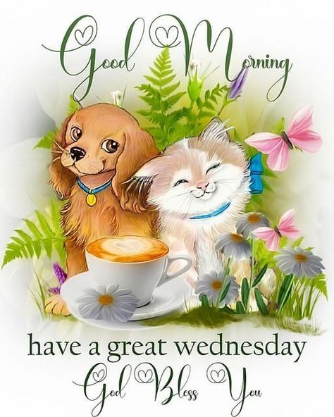 Wednesday Pictures, Wednesday Morning Greetings, Wednesday Greetings, Good Morning Massage, Good Wednesday, Happy Day Quotes, Good Morning Wednesday, Happy Wednesday Quotes, Wednesday Quotes