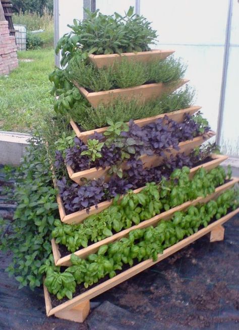 Vegetable Garden Planters, Spring Vegetable Garden, Vertical Vegetable Gardens, Vertical Garden Design, Vertical Vegetable Garden, Small Vegetable Gardens, Vertical Garden Diy, Vegetable Garden Diy, Vertical Herb Garden