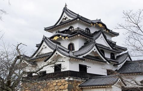 Hikone Castle: A National Treasure at 410 | All About Japan All About Japan, Shiga, About Japan, Edo Period, National Treasure, Still Standing, Eiffel Tower, Castle, This Is Us