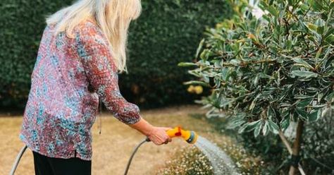 Weathering Water Restrictions: How to Save Your Landscape From the Effects of Drought Gardening Design Diy, The Invincible, Drought Resistant Plants, Organic Mulch, Home Landscape, Healthy Lawn, Easy Landscaping, Drought Resistant, Summer Lawn