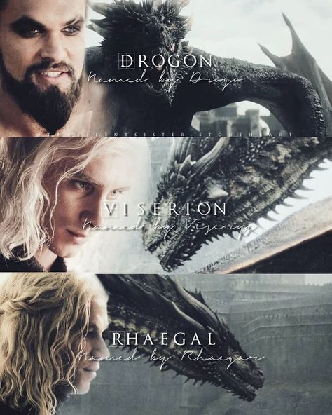 Drogon, Viserion and Rhaegal 🔥 Daenerys Dragons, Game Of Thrones Wallpaper, Orca Tattoo, Game Of Thrones Facts, Game Of Thrones Poster, Game Of Throne Daenerys, Game Of Thrones Tv, Game Of Thrones Dragons, Got Dragons