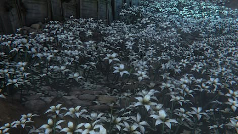 Flowers in Hunter's Dream | Bloodborne Wiki Bloodborne Characters, Post Apocalyptic City, Garden Of Gethsemane, Flannel Flower, Old Blood, Crocus Flower, Stargazer Lily, Easter Lily, Space Cowboys