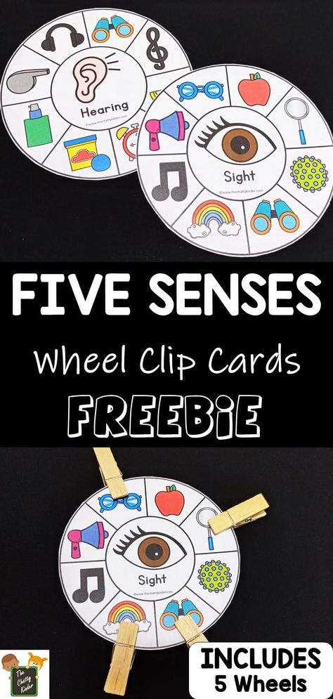 Five Senses Clip Cards - The Chatty Kinder Five Senses Centers Kindergarten, Five Senses Fine Motor Activities, 5 Senses Games For Preschool, 5 Senses Centers Preschool, 5 Senses Literacy Activities Preschool, 5 Senses Kindergarten Activities, 5 Senses Crafts Preschool Free Printable, 5 Senses Worksheet Preschool, My 5 Senses Preschool Activities