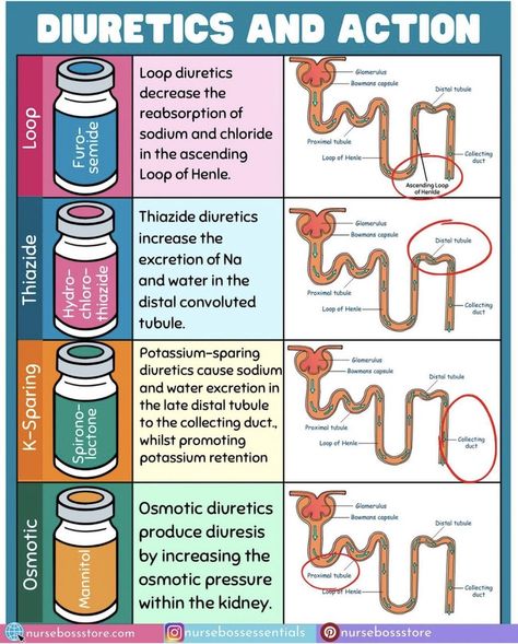 Medications Nursing, Nursing School Studying Cheat Sheets, Medical Assistant Student, Paramedic School, Nursing Information, Nursing School Essential, Medical School Life, Nursing School Motivation, Nurse Study Notes