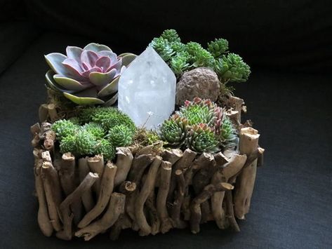 Fantastic Pic Succulent Garden decor Suggestions Most succulent varieties need at least half each day to a full day’s sunlight. In extremely hot ar Crystals Terrarium, Mini Succulent Garden, Crystal Terrarium, Terrarium Wedding, Diy Terrarium, Succulents Plants, Crystal Garden, Succulent Gardening, Garden Terrarium