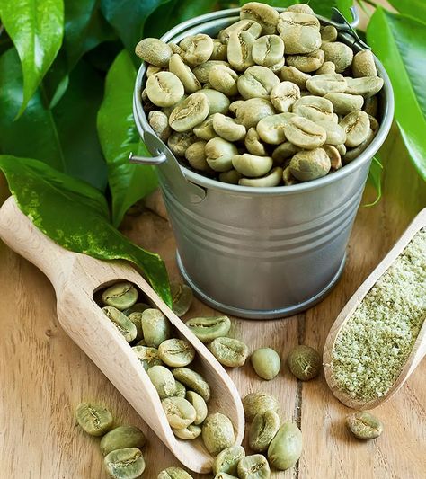 Coffee For Beginners, Coffea Arabica, How To Make Greens, Green Coffee Bean Extract, Coffee Benefits, Body Wrap, Green Coffee Bean, Health Articles, Coffee Bean