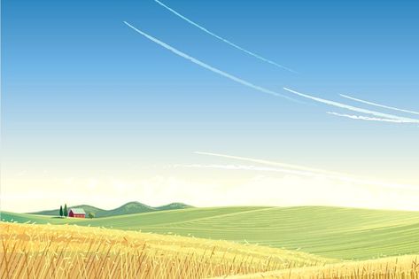 Rural Area Drawing, Agriculture Ppt Background, Countryside Background Illustration, Green Field Illustration, Agriculture Background, Morning Mountain, Field Of Wheat, Landscape Meadow, Farm Cartoon Background Landscape