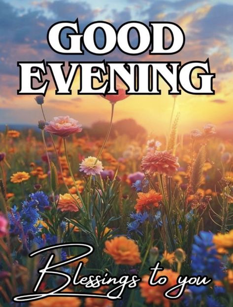 Good Evening Images Romantic, Good Evening Friends Images, Blessed Evening, Good Night Pic, Good Evening Blessings, Good Evening Quotes, Sweet Dreams Images, Happy Thursday Images, Good Evening Images