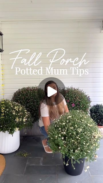 Life Stylishly - Home Decor on Instagram: "SAVE and LIKE 🍂🍁 this post for easy care tips to keep your mums looking beautiful all season long!   Potted mums are the easiest way to bring a splash of color to your fall front porch! 🎃🍂🍁👻  They’re low-maintenance and will stay fresh and vibrant with just a little care.   Pro tip: Choose mums that haven’t fully bloomed yet so you can enjoy them even longer!   I love them adding them to the mix of potted ferns that I have had through the summer and then adding in some ornamental kale. The combination is stunning.   #falldecor #frontporch #fallporchdecor #autumnvibes" Fall Front Porch With Mums, Mums And Lanterns Front Porch, Mums In Front Of House, Decorating With Mums Front Porches, Fall Porch With Mums, Front Entry Planter Ideas, Hanging Mums On Porch, Mums Flowers Front Porch Fall Decorating, White Mums Front Porch