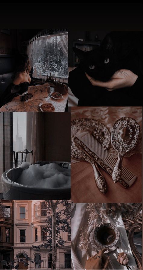 Azadeh Core, Varsha Core Aesthetic, Vaishnavi + Core + Aesthetic, Nilofar Core, Kashish Core Aesthetic, Trisha + Core + Aesthetic, Atoosa Core, Zhanerke Core, Tanishka Core Aesthetic