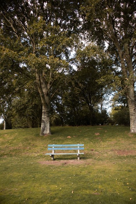 Park
Forest
Nature
Natural
Autumn
Fall
Aesthetic Bench Aesthetic Park, Park Bench Aesthetic, Bench In Forest, Bench Aesthetic, Bench In Park, Victorian Study, Comfort Pics, Old Benches, Forest Gump