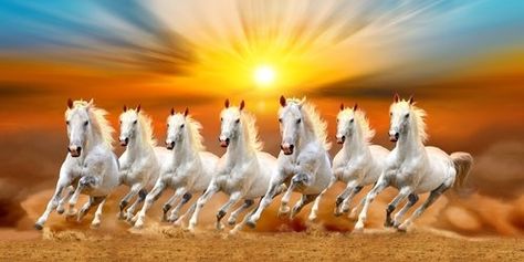 Running Horse Wallpaper For Phone, White Horse Wallpaper, Seven Running Horses, 7 Horses Running Painting Vastu Wallpaper, Seven Horses Painting, Seven Horses, 7 Horses, Magic Decor, Horse Background