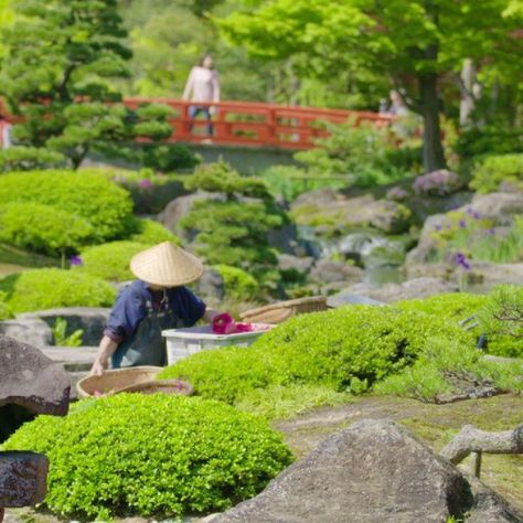 Visit Japan: Yuushien Garden, located in Shimane Prefecture in western Japan, is a massive ga...    #Visitjapan, #Visitjapanus, #Beauty, #Flowers, #Japan, #Shimane, #VisitJapan, #Yushien, #Yuushien    https://www.alojapan.com/56710/visit-japan-yuushien-garden-located-in-shimane-prefecture-in-western-japan-is-a-massive-ga/    . Japan 2023, Shimane, Beauty Flowers, Visit Japan, Garden Features, Tea House, Garden Bridge, Outdoor Structures, Japan