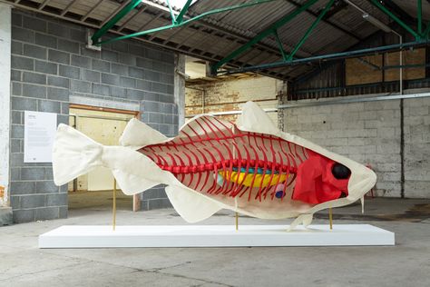 Local Fish by Liam Hopkins of Lazerian for G.F Smith and Hull city of culture was shown at Humber street fruit market for paper city. fish sculpture Hull 2017 Colorplan Paper, Paper Fish, Fish Artwork, Public Artwork, Paper City, Fish Sculpture, Artistic Installation, Newsletter Design, Favourite Colour