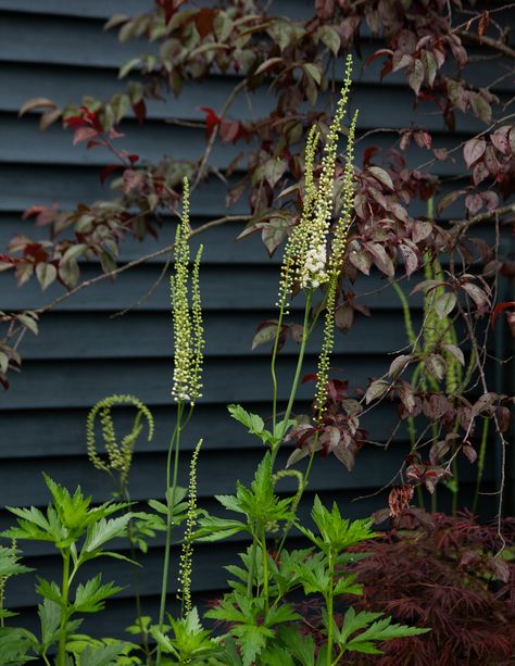 http://m.lonny.com/mag/Rmy394YGaq_/June+2014/4E8ezQ-Uxea/A+Garden+for+All+Seasons Garden Shrubs, Black Garden, Have Inspiration, Casa Exterior, Gorgeous Gardens, Garden Cottage, Garden Fence, Small Gardens, Garden Spaces