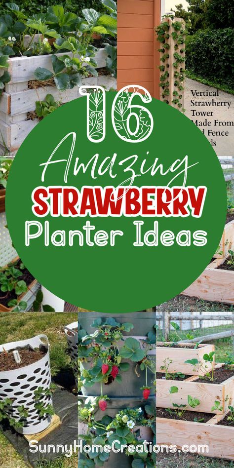 Raised Strawberry Beds, Diy Strawberry Planter, Strawberry Planter Ideas, Strawberry Trellis, Wooden Strawberry, Strawberry Planters Diy, Growing Strawberries In Containers, Strawberries In Containers, Strawberry Planter