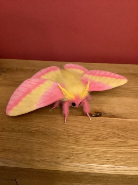 Needle felted Rosy Maple Moth hand made fibre sculpture by stella Collins, unique and custom made find me on Instagram @for_felt_sake or on etsy shop Artisan fibre. Needle Felted Moth Tutorial, Needle Felted Moth, Felted Moth, Kawaii Moth, Felt Moth, Fibre Sculpture, Bug Display, Silk Moths, Maple Moth