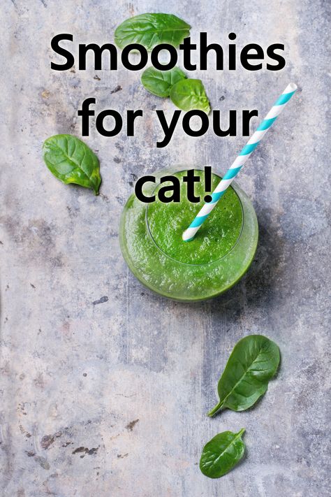 What better way to help keep your cat cool in the hot summer than with a delicious cool smoothie! Check out some cat friendly recipes here at www.littlemisscat.com Healthy Cat Food Recipes, Cat Lick Mat Recipes, Healthy Snacks For Cats, Cantelope Melon Recipes, Cat Treats Homemade Healthy, How To Make Catnip Tea, Recipes For Cats, Soup For Cats, Smoothie Cat