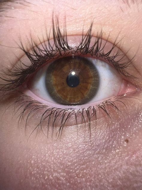 Brown Eyes With Green Flecks, Big Brown Doe Eyes Aesthetic, Green And Brown Eyes Aesthetic, Beauty Subliminal, Green And Brown Heterochromia, Brown Eyes With A Hint Of Green, Green Brown Heterochromia, Vanessa Mazur, Eye References