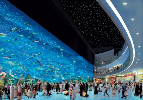 Dubai Aquarium. One of the largest tanks in the world. They do it BIG in Dubai! Dubai Aquarium, الإمارات العربية المتحدة, Parc D'attraction, Centre Commercial, Lounge Area, Dubai Travel, Dubai Mall, Varanasi, Sharjah