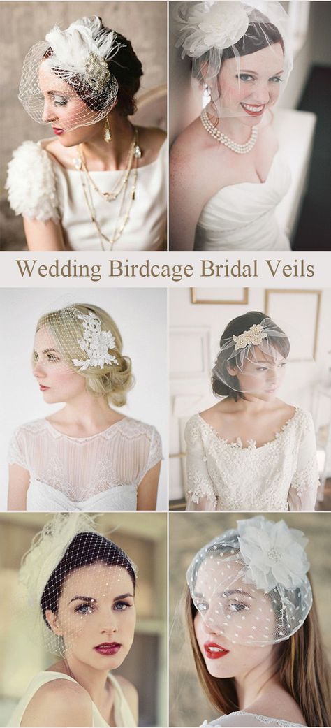 Birdcage Bridal Veil, Bride Birdcage Veil, Vintage Veils Bridal 1920s, Bird Cage Wedding Vail, Bird Cage Hair Styles Brides, Bridal Cage Veil, Bridal Veils And Headpieces Ideas Vintage Inspired, Wedding Hairstyles With Birdcage Veil, Wedding Veil Birdcage