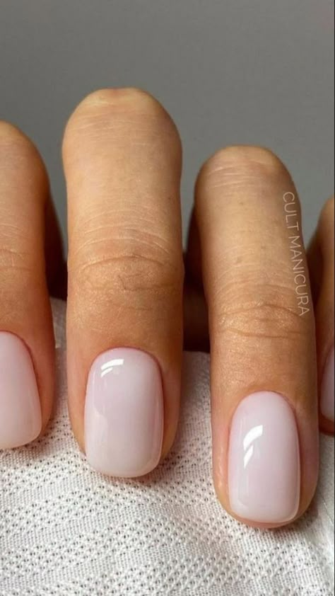 Seashell Nail Color, Wide Oval Nails, Neutral Nails With Sparkle Classy, Bridesmaid Pedicure Ideas, Old Money Toenails, Dip Nails Neutral, Bride Pedicure Wedding Day, Summer Wedding Guest Nails, Europe Vacation Nails