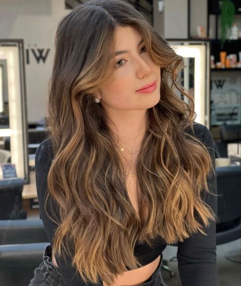 Light Gray Hair Color Ash Brown, Hair Contouring Brunette, Balayage Hair Caramel, Rambut Brunette, Sophisticated Hairstyles, Brown Hair Looks, Brown Hair Inspo, Hollywood Hair, Brunette Hair With Highlights