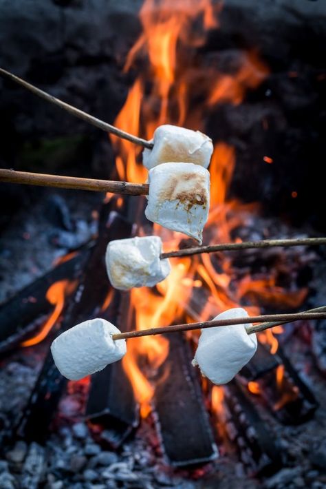 Winter Bbq, Toasting Marshmallows, Campfire Marshmallows, Mini Pizzas, Pasta Primavera, Roasting Marshmallows, S'mores, Toasted Marshmallow, Garden Parties