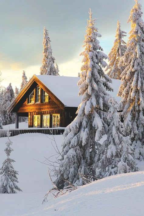 INSPIRATION : CHALET & MONTAGNES | Mes Petits Carnets - Blog Voyage, Escapades et Bonnes Adresses Snow Cabin, Beautiful Snow, Snow Covered Trees, Winter Cabin, Love Winter, Winter Magic, Winter Scenery, Snow Ice, Winter Beauty