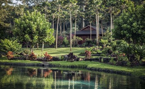 Discover the Magic of Sensei Lanai, A Four Seasons Resort Sensei Lanai, Haikyuu Daichi, Yoga Retreat Ideas, Lanai Hawaii, Shannyn Sossamon, Hawaiian Resorts, Best Island Vacation, Ocean Prints, Omni Hotel