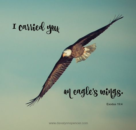 I Carried You on Eagle's Wings - Davalynn Spencer On Eagles Wings, Cricut Animals, Eagles Wings, Wings Like Eagles, Western Romance, Isaiah 40 31, Eagle Wings, Bible Promises, Flying Bird