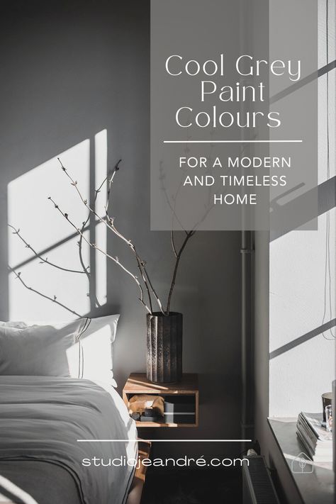 We explore ten shades of cool grey paint colours that can transform your home into a modern and timeless space. Grey interior paint  can create a calming atmosphere while adding depth and visual interest to any room. From white grey paint colours to warm grey paint shades, each tone has its own unique character and impact on the overall paint colour scheme. #greywalls #interiorarchitecture Colours That Go With Charcoal Grey, Grey Stone Colour Palette, Grey Paint Shades, Deluxe Grey Paint Colours, Warm Grey Paint, Dulux Paint Colours Grey, Grey Paint Colours, Plascon Paint Colours Interiors Grey, White Grey Paint