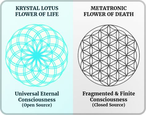 Maharic Seal, Flower Of Life Meaning, Keylontic Science, Occult Knowledge, Flower Of Life Tattoo, Quantum Consciousness, Crystal Mermaid, Flower Of Life Symbol, Energy Consciousness