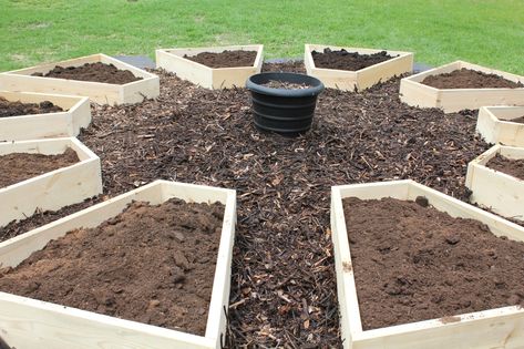 Medicine Wheel Garden, Wheel Garden, Medicine Garden, Raised Gardens, Building Raised Garden Beds, Medicinal Herbs Garden, Garden Layout Vegetable, Building A Raised Garden, Garden Flower Beds