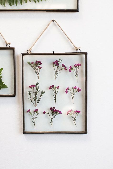 You can find a similar hanging frame to this one at H&M for $7.99. Thailand House, Rustic Packaging, Do It Yourself Decoration, Pressed Flowers Diy, Farmhouse Side Table, Cute Dorm Rooms, Dried And Pressed Flowers, Creative Stuff, Pressed Flower Art