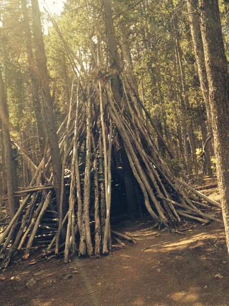 wood log teepee, Colorado Trail Log Teepee, Twig Teepee, Stick Teepee, Woods Hangout Spot, Therian Den, Forest Fort, Wood Teepee, Forest Survival, Wood Tent