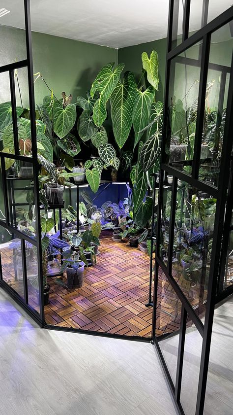 Chahrazade on Instagram: “Green house transformation 6 steps 💪🔨 #greenhouse #transformation #works #houseplants #plantdecor #plantshelf #plants #happyplace #peace #…” Glass Greenhouse Indoor, Green Area Inside House, Greenhouse In Bedroom, Indoor Glass Greenhouse, Greenhouse Bookshelf, Indoor Green House Room, Green House Library, Indoor Greenhouse Room, Greenhouse Living Room