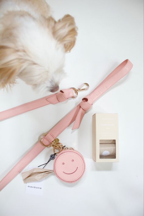 Dog Bags Travel, Dog Walking Bag Essentials, Aesthetic Dog Supplies, Aesthetic Dog Stuff, Dog Business Ideas, Cute Dog Accessories, Luxury Dog Accessories, Dog Trends, Cozy Beds