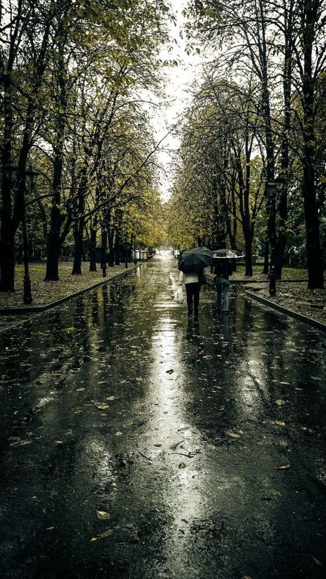 Drizzling Rain, Rainy Mood, Rainy Street, Freezing Rain, Rainy Day Aesthetic, I Love Rain, Autumn Rain, Love Rain, Singing In The Rain