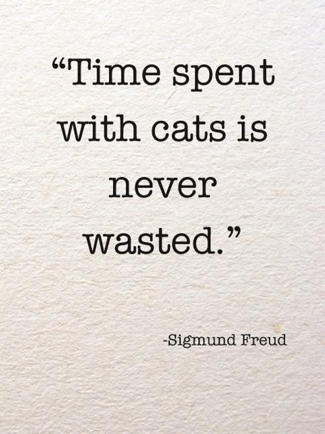 "Time spent with cats is never wasted." –Sigmund Freud — Luster of the Month: A Cat's World — Spectacular Design Interior Designers Freud Frases, Cat Vs Human, Cats Quotes, Just Happy Quotes, Sigmund Freud, Cat Quotes, A Quote, Crazy Cats, Happy Quotes