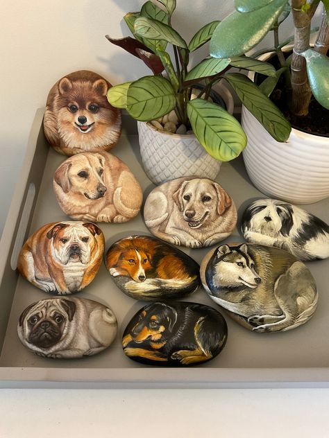 * Dog portraits painted on medium sized rocks. Ready to buy. * SIZES:  - Labrador #1:  4.2"x 3.5" (11x8.5cm)  - Husky: 4.5"x 3.5" (12x8.5cm)  - Labrador #2: 4.2"x 3.5" (11x9cm) - Bulldog: 3.6"x 3"(9.5x8cm) - Barbet: 5.5"x3.2"(14x8cm) - Collie:  4.2"x 2.6"(11x7.2cm) - Beard Collie (middle): 4.2"x 3"(11x7cm) * These rocks are made with acrylic paint and a protective varnish overcoat.  * The perfect present for any dog lover! - Please message with any questions!  * For Custom Cat Rocks, please see Animal Painting On Rocks, Dog Rocks Painting, Rock Painting Dogs, Things To Paint On Rocks, Painting On Rocks, Stone Carving Sculpture, Painted Dogs, Painting Dogs, Painted Animals