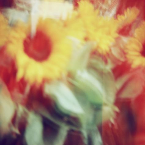 Sunflowers Burning Sunflower, Blurry Flower Aesthetic, Blurry Flowers, Yellow Blurry Aesthetic, Orange Blurry Aesthetic, Face Blurred Instagram, Earth Pictures, Sunflower, Photographer