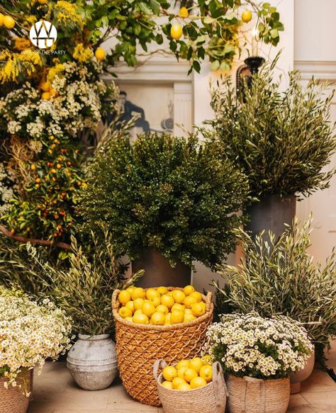 A close up to this photo moment. A set up pots and baskets full of florals and lemons! #wotp #thewotp #wifeoftheparty #partyplanner #eventplanning #thewotp #thewifeoftheparty #event #eventplanner #events #losangelesevents #wecelebratepeople #loriannserna #birthdayparty #lemons #partyinspiration #capri #photomoment #florals Lemon Decoration Wedding, Lemon Garden Party, Capri Wedding Decor, Tuscan Party, Lemon Italian Wedding, Capri Flowers, Italian Floral Arrangements, Mediterranean Wedding Flowers, Lemon Event Decor