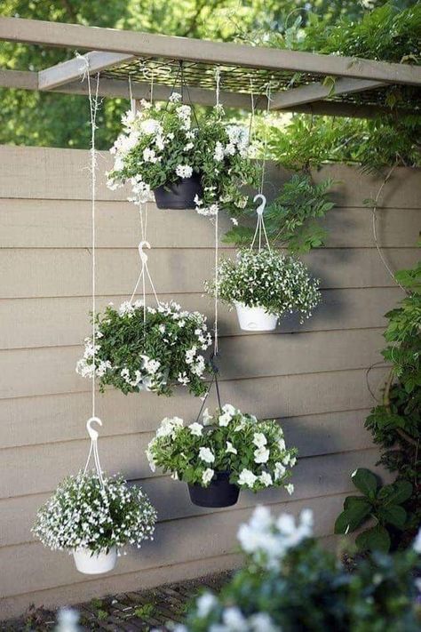 Diy Garden Landscaping, Christmas Patio, Patio Planters, Hanging Flower Pots, Patio Plants, Hanging Flower, Modern Backyard, Ideas Patio, Backyard Garden Design